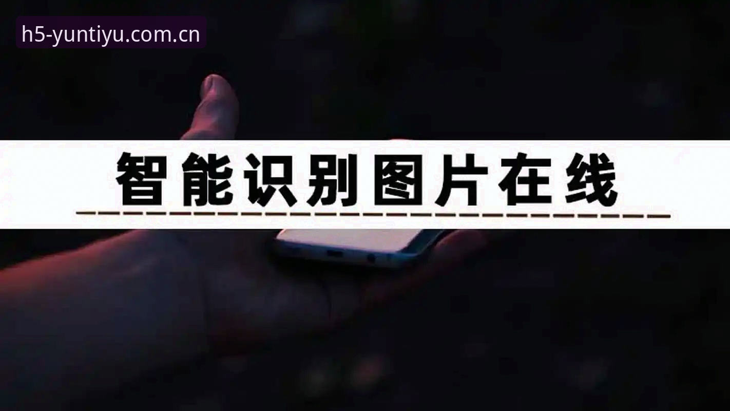 揭秘云体育官方入口网址中文官网登录通道安卓版背后的实际使用逻辑